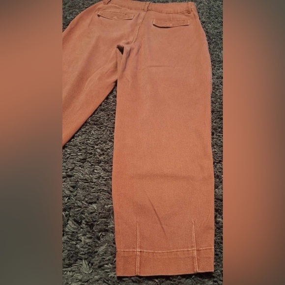 A New Day Women's Rust Colored Hi-Rise Balloon Jeans Size 4x 25 Stretch EUC - Picture 6 of 8